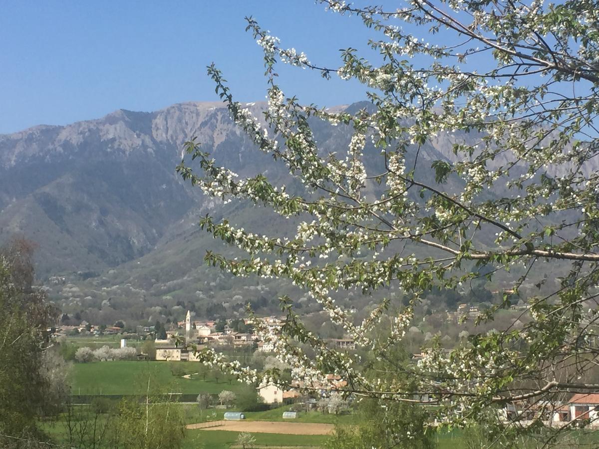 Appartamento Boccaor Paderno del Grappa Esterno foto